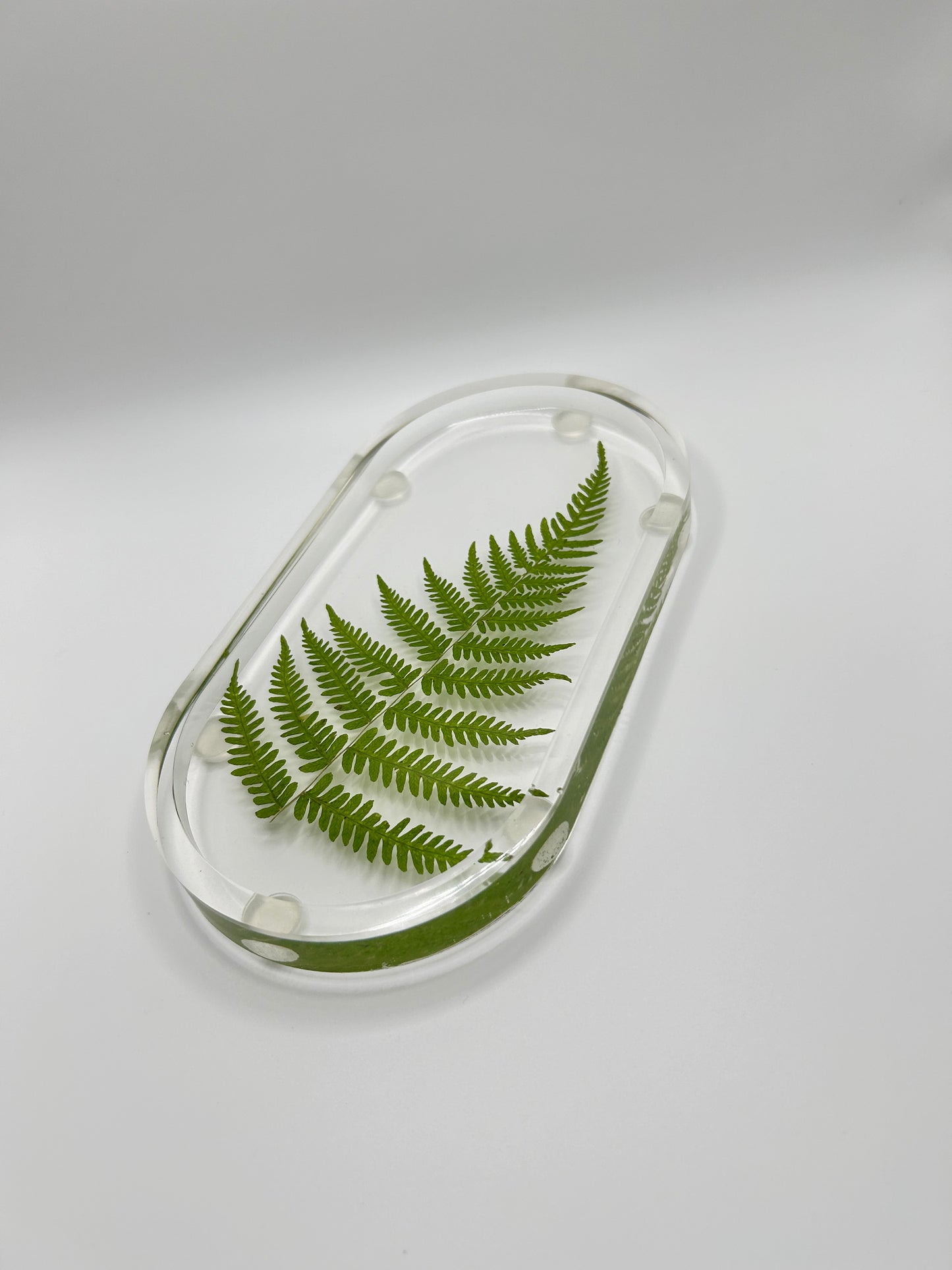 Fern trinket tray