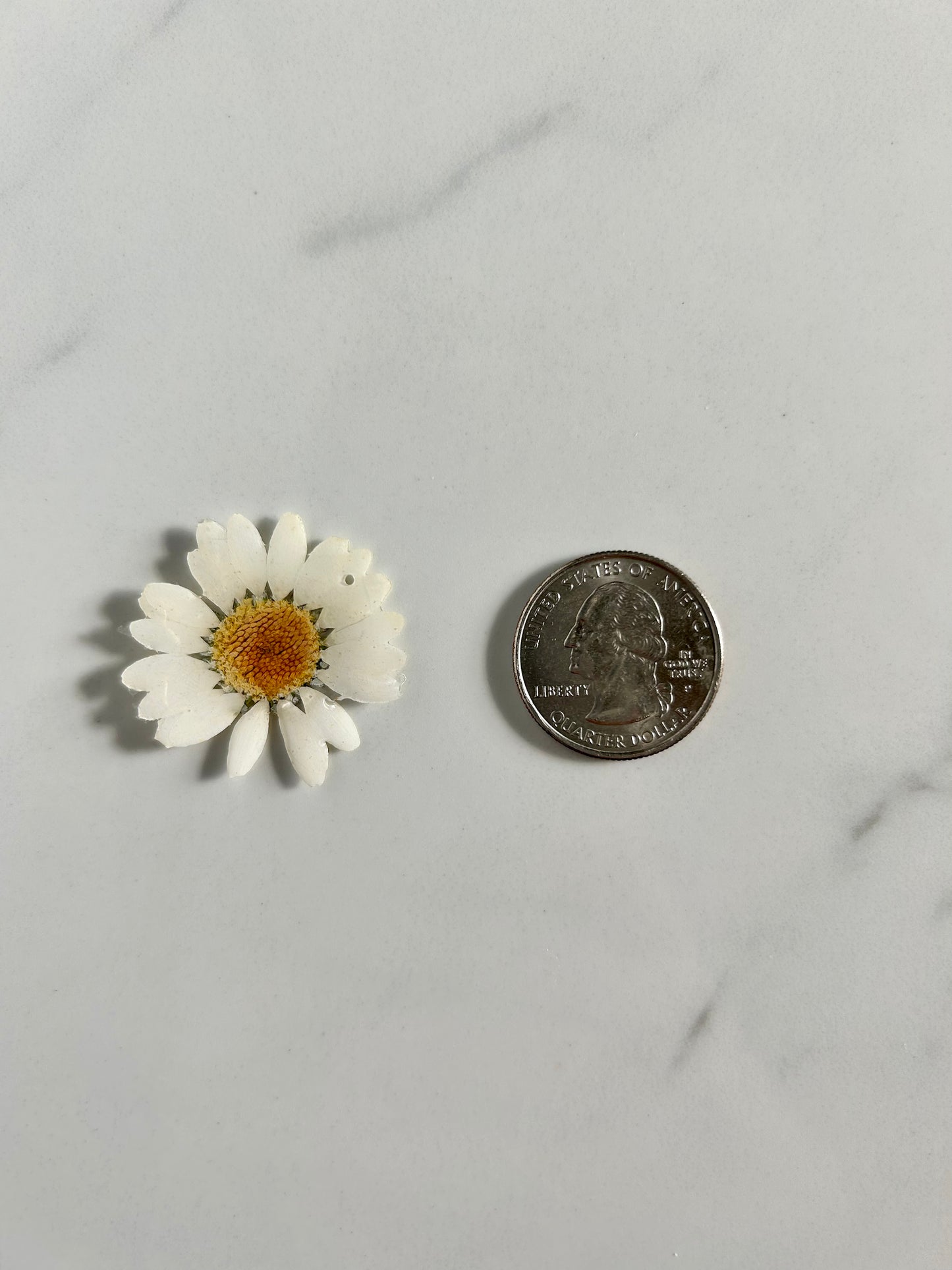 Daisy Flower Hoop
