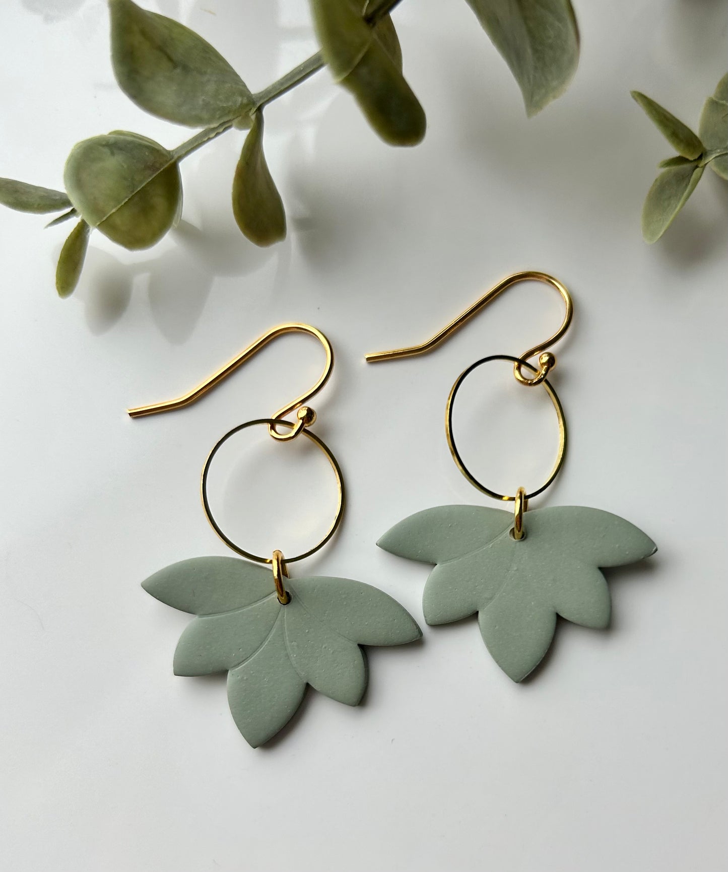 Phoebe (multiple colors)