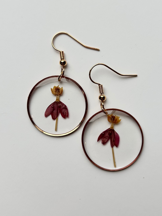 Mexican Butterfly Weed Earrings (Gold)