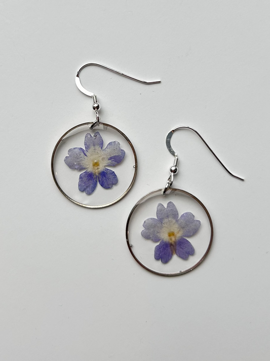 Blue Verbena (Silver)