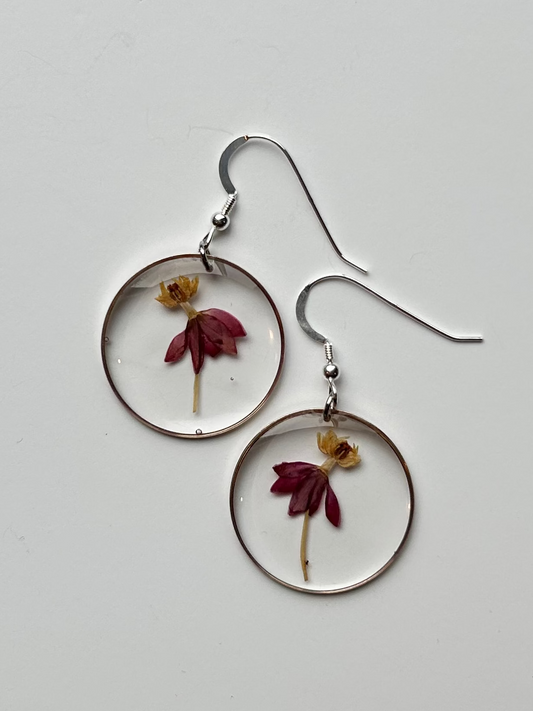 Mexican Butterfly Weed Earrings (Silver)